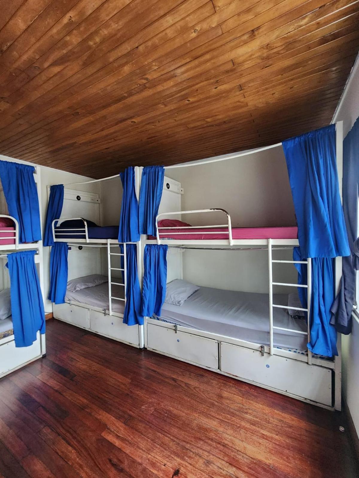 Bett im gemischten Schlafsaal mit 8 Betten