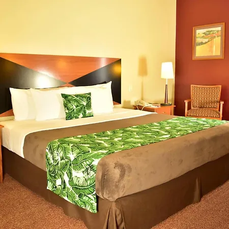 Sleep Inn Hotel Paseo Las Damas-2